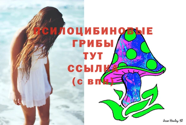 Альфа ПВП Богородск