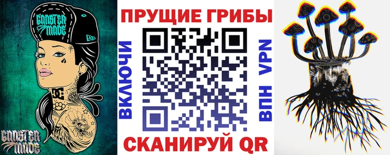 Псилоцибиновые грибы MAGIC MUSHROOMS Завитинск